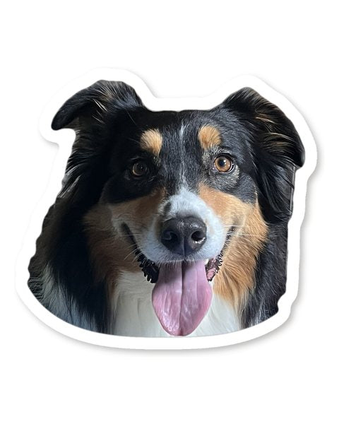 Otto’s face isolated with a white sticker-style border.