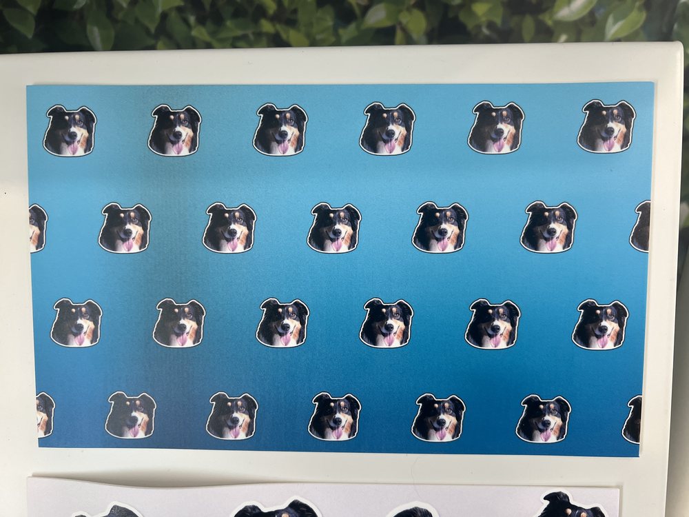 An aqua printed wrap on a white display board, with Otto’s face in tidy repeating rows.