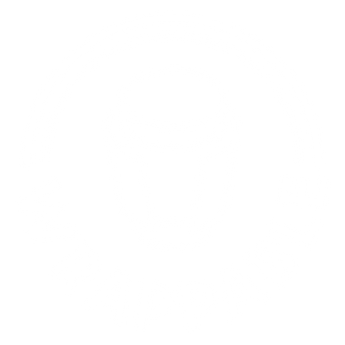 Creators & Collabs