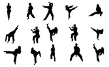 A grid of black martial arts silhouettes showing different standing poses, punches, and high kicks on a white background.