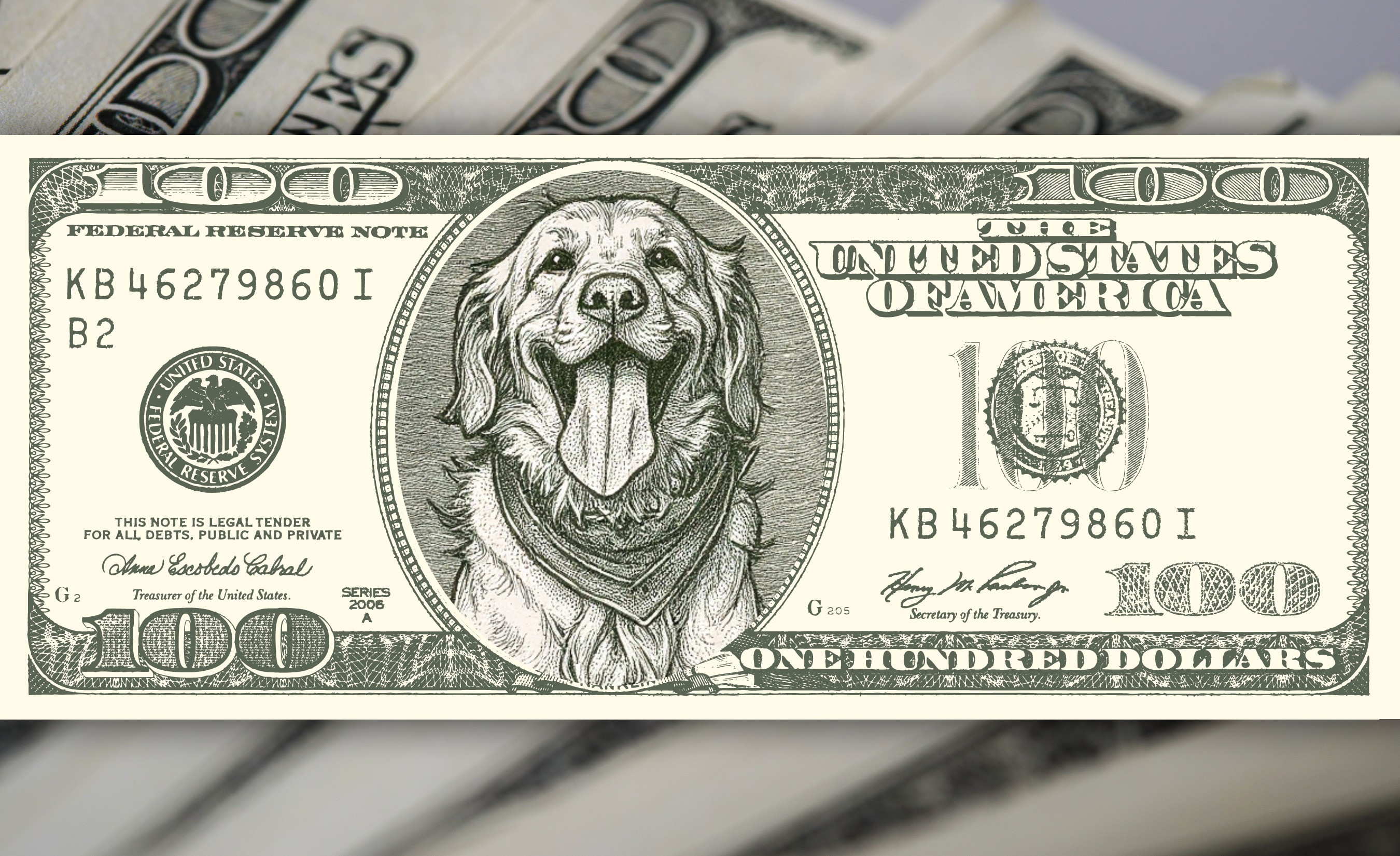 Make My Dog President