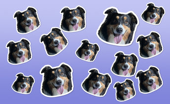 A lavender background covered with multiple cutout sticker images of the same tricolor dog. The dog faces the camera in each sticker, often with its tongue out, and each cutout has a white border.