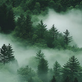 Misty Pines wrap artwork with green treetops emerging through pale mist.