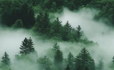Misty Pines - 1