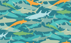 Camo Shark Pattern - 1