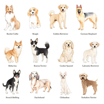 Furry Friends  - 1