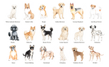 Furry Friends  - 1