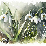 Snowdrop wrap artwork with white flowers and green leaves against a soft watercolor background.