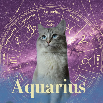Aquarius