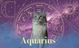 Aquarius