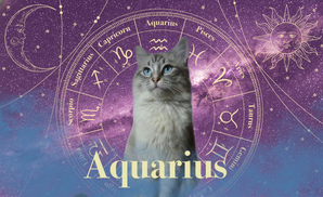 Aquarius