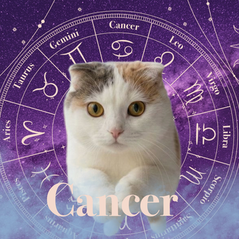 Cancer