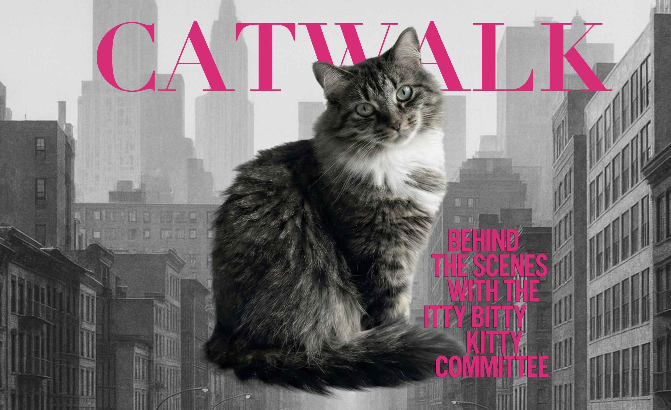 Cover Kitty Custom Tumbler