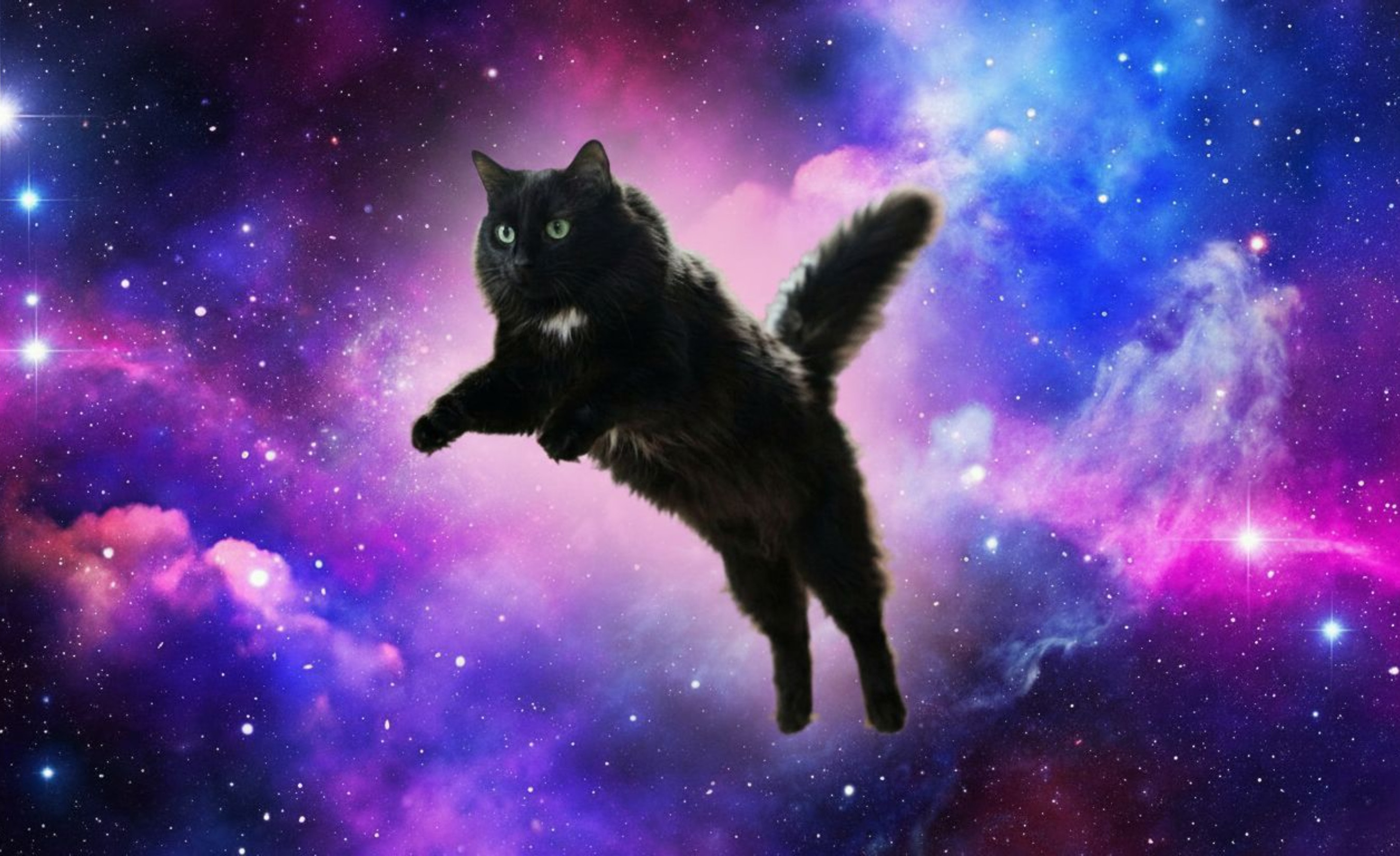 Cosmic Kitty