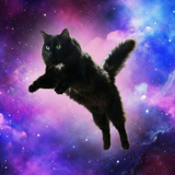 Stardust Dream
