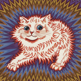 Fiery Cat