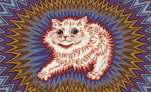 Fiery Cat