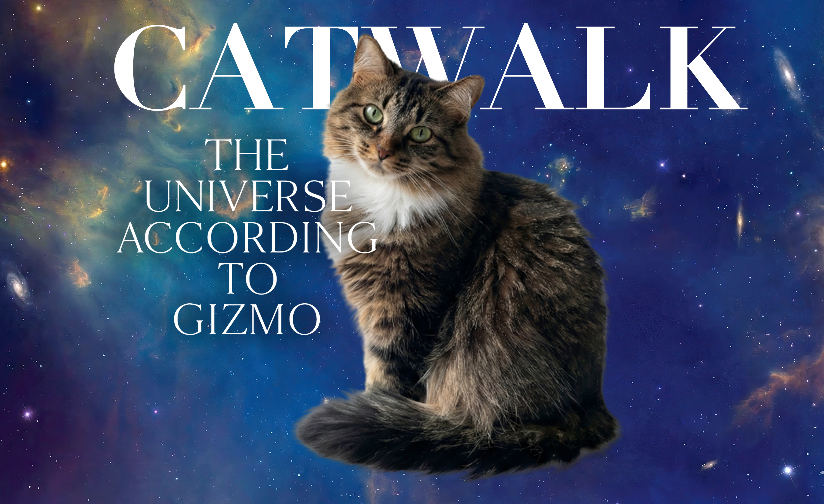 Cover Kitty Custom Tumbler