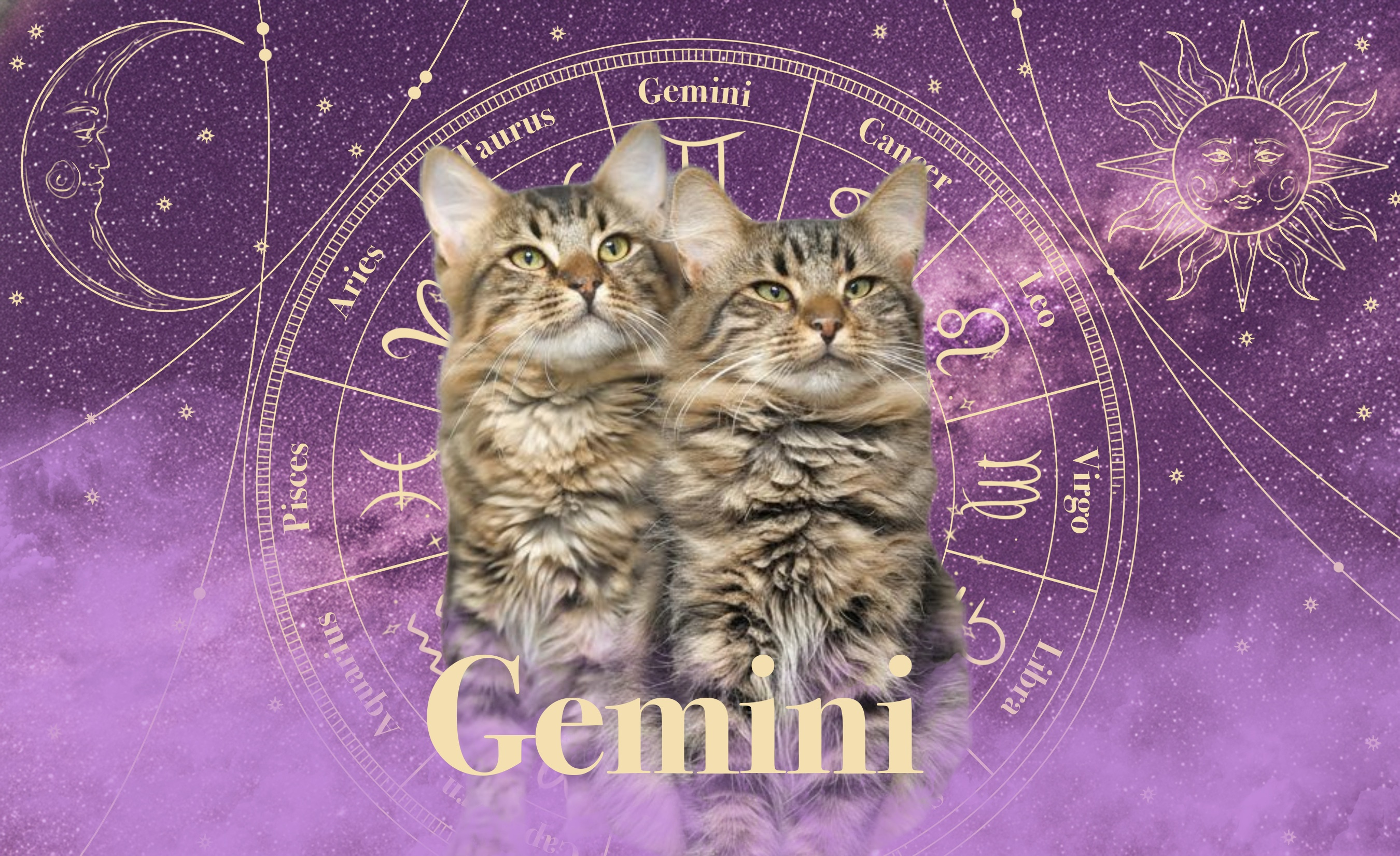 Gemini