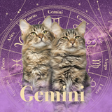 Gemini