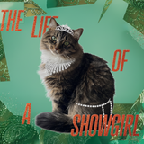 Example artwork with a tiara-wearing cat on teal geometric shapes and The Life of a Showgirl lettering.