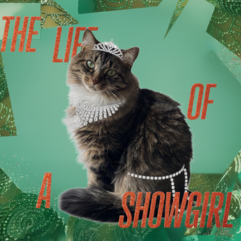 Example artwork with a tiara-wearing cat on teal geometric shapes and The Life of a Showgirl lettering.