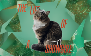 Showkitty Custom Tumbler