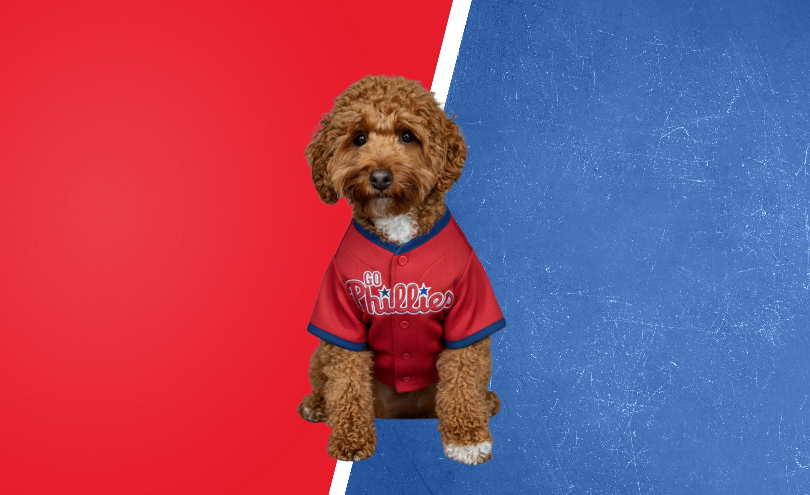 Baseball Fans