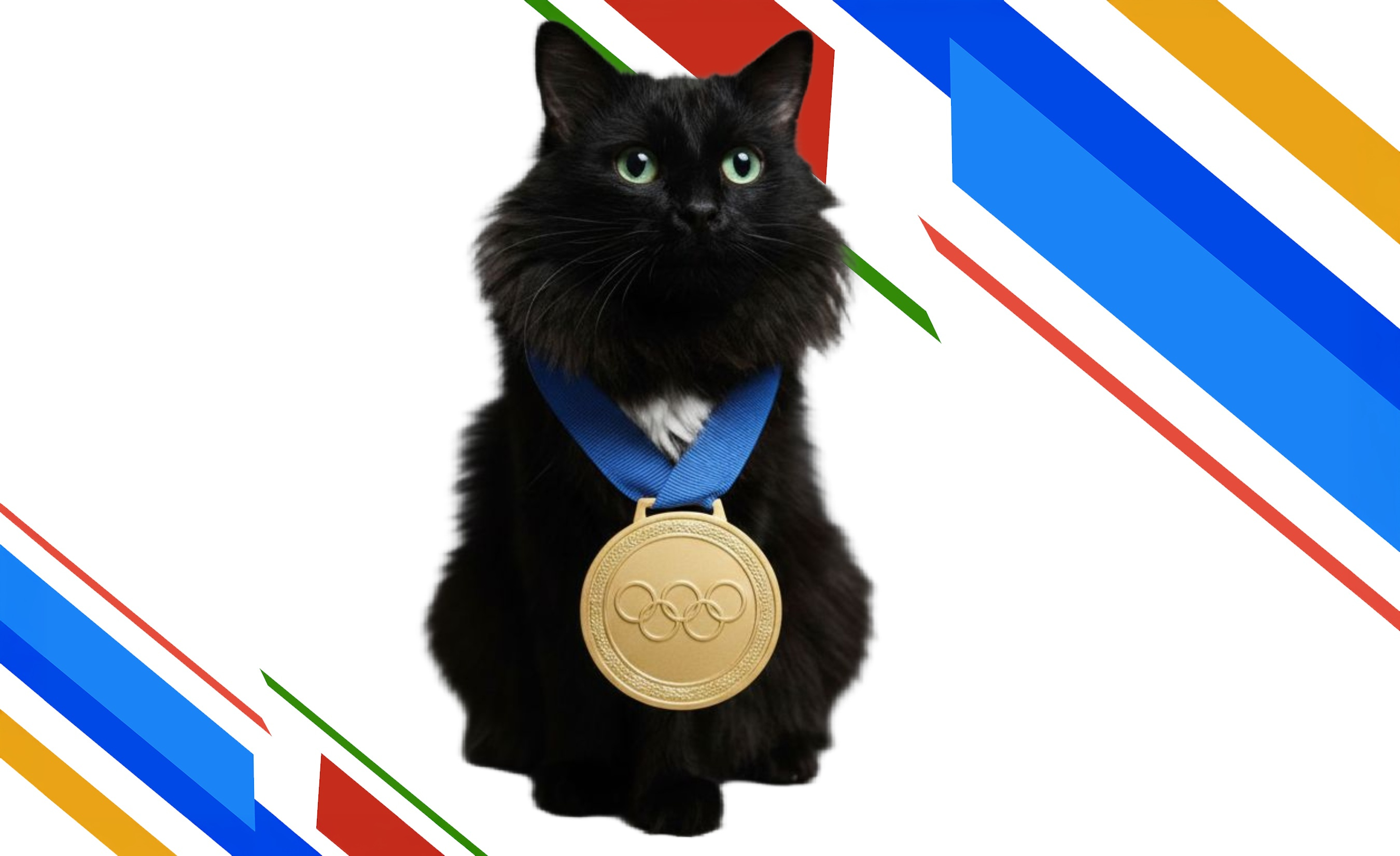 Gold Medal Kitty