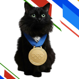 Gold Medal Kitty