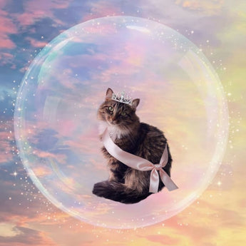 The Emerald Kitty example artwork with a tiara-wearing cat floating in a bubble beneath a pastel rainbow.