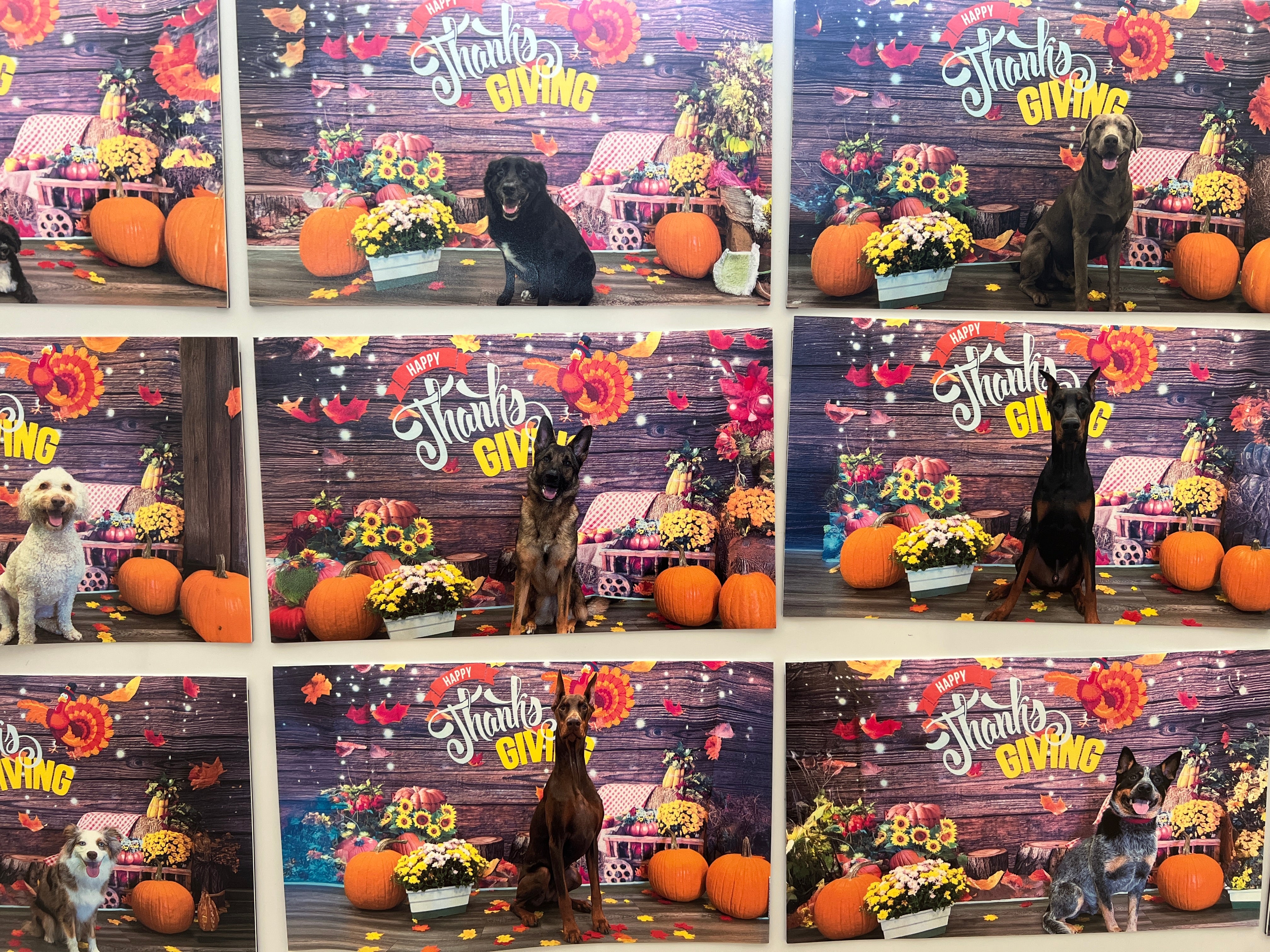 Hounds Town Thanksgiving Tumbler