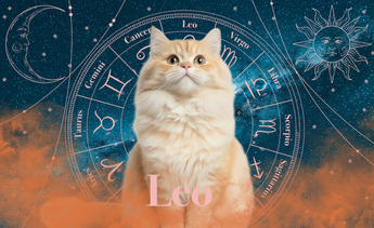 Leo