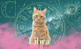Libra