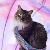 Eras Kitty example artwork with a cat and a sparkling guitar strap against pastel pink and purple shapes.