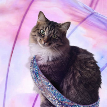Eras Kitty example artwork with a cat and a sparkling guitar strap against pastel pink and purple shapes.