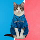 Pittsburgh Baseball