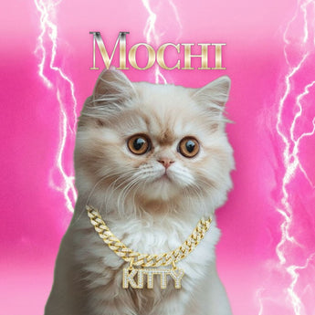 Hip Hop Pets example artwork with a cat wearing gold chains beneath Mochi lettering on a pink lightning background.