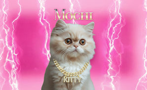 Hip Hop Pets Custom Tumbler