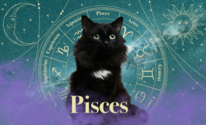 Pisces Zodicat Custom Tumbler