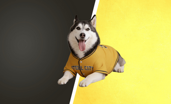 Pittsburgh Baseball