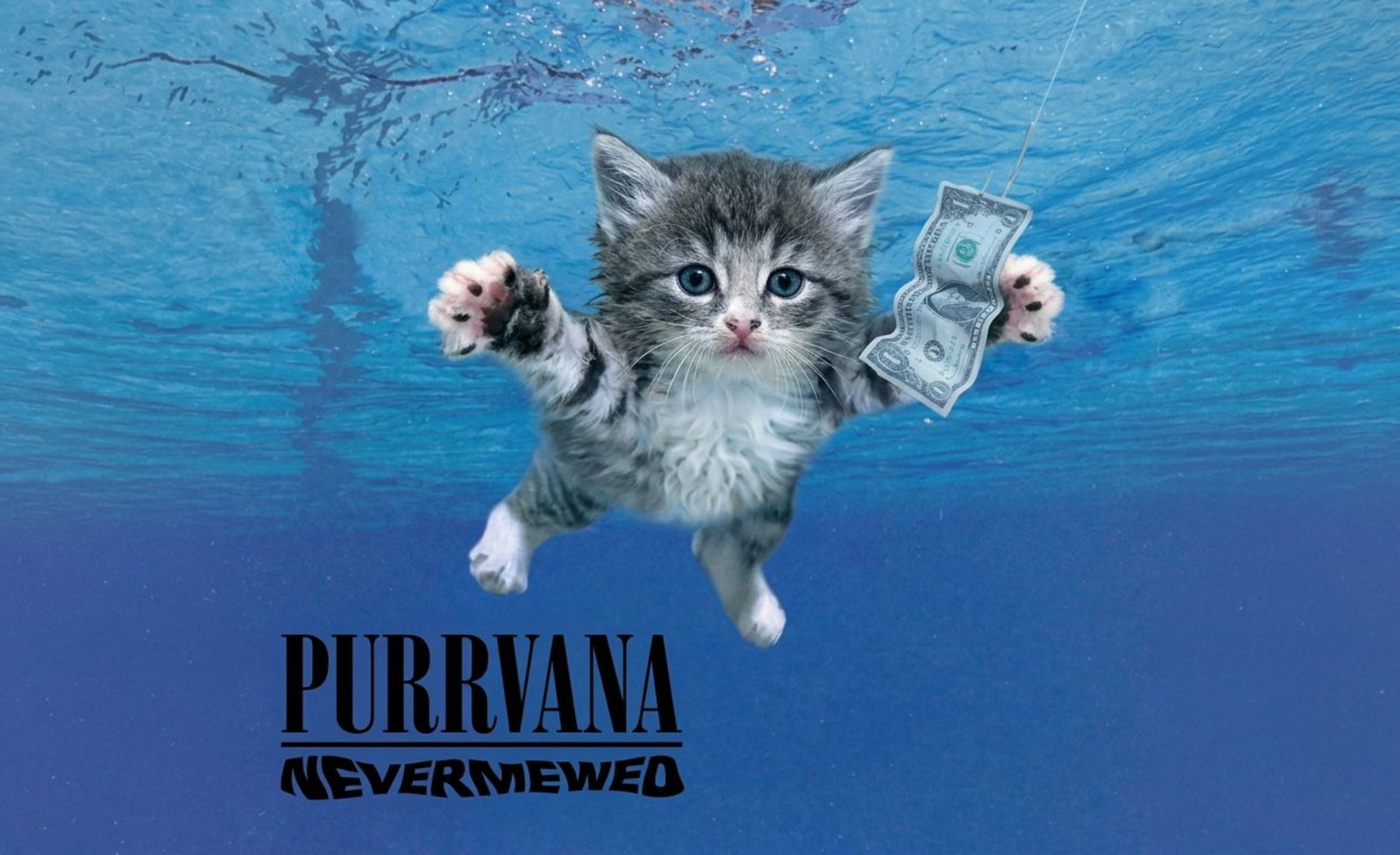 Purrvana Nevermewed