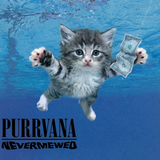 Purrvana Nevermewed wrap artwork with an underwater kitten reaching toward a bill on a hook.
