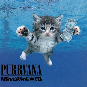 Purrvana Nevermewed