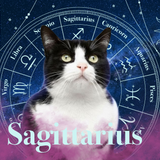 Sagittarius