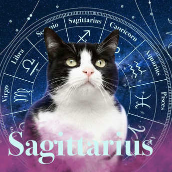 Sagittarius