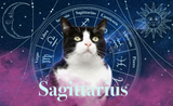 Sagittarius