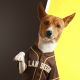 Pittsburgh Baseball