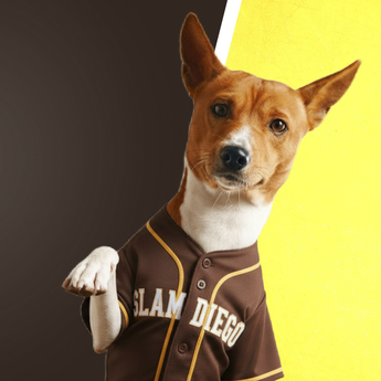 Pittsburgh Baseball