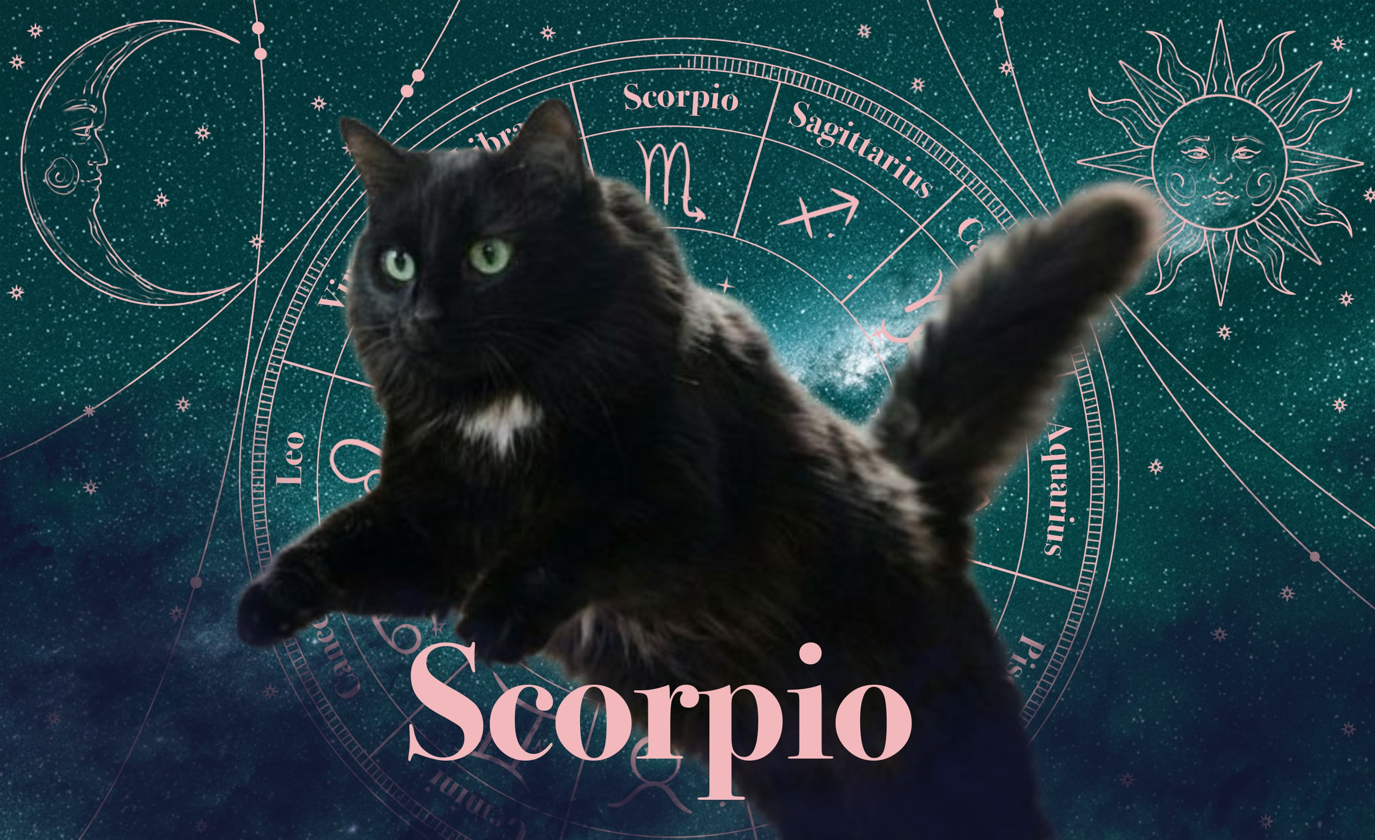 Scorpio